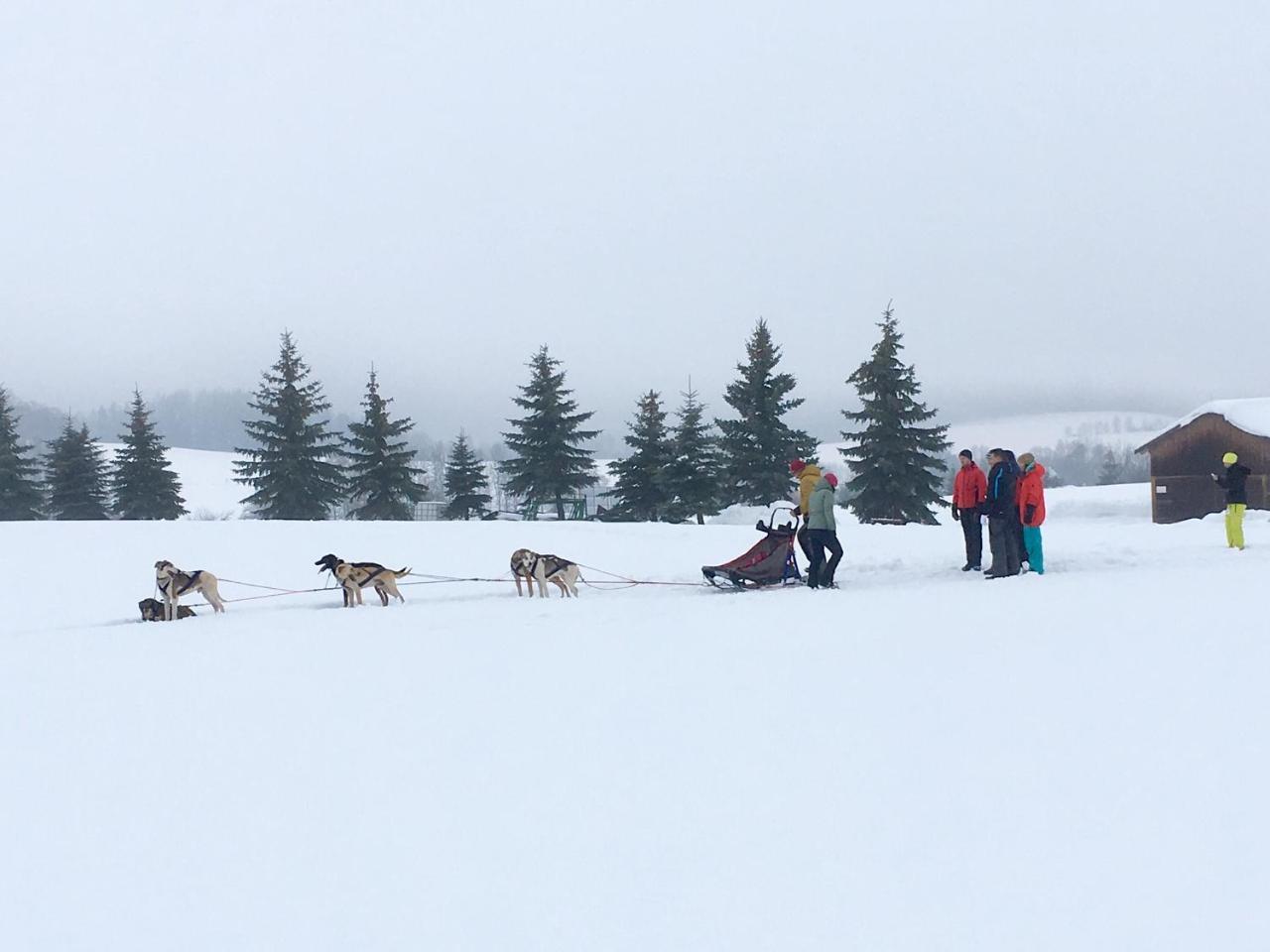 Grund Resort Golf And Ski Mlade Buky Bagian luar foto